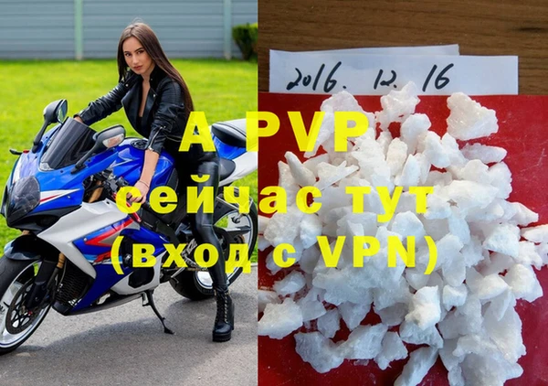 СК Аркадак